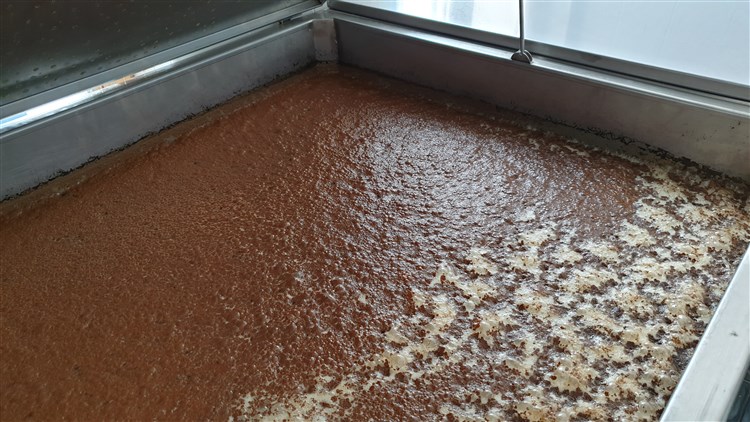 STAŇ SE SLÁDKEM na 1 den a UVAŘ SI SVÉ PIVO
