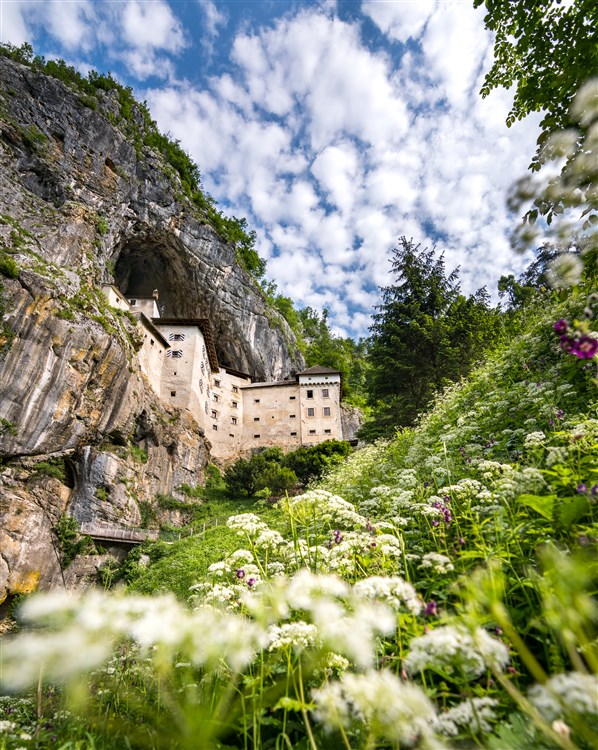 JAMA**** - Postojna