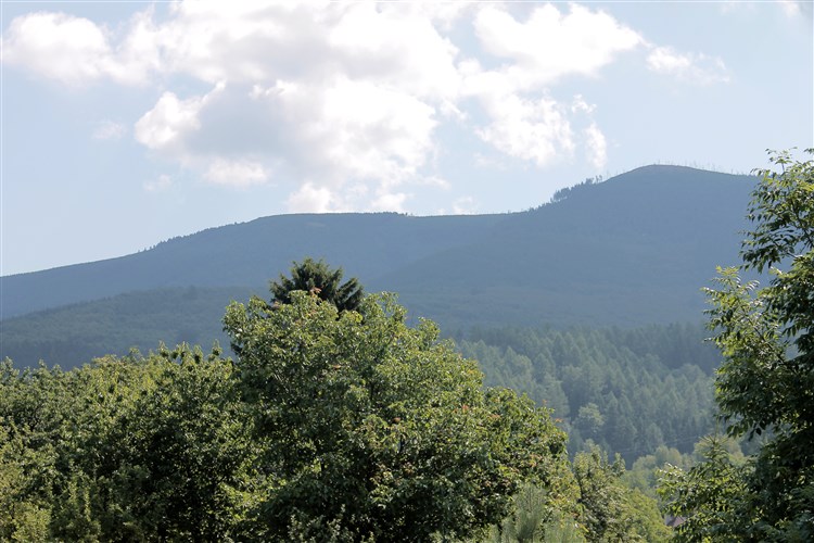 výhled od penzionu na hřebeny Jeseníků | ROLLBA - Loučná nad Desnou - Kociánov