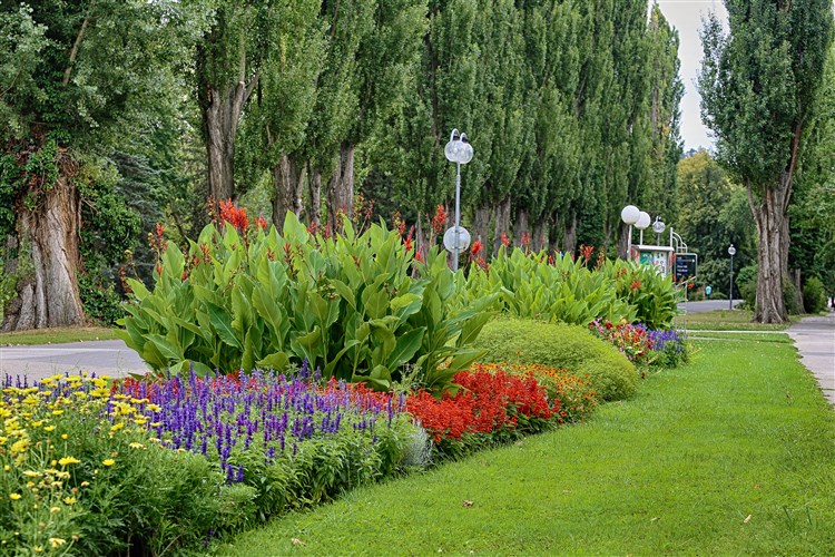 SPLENDID*** Ensana Health Spa Hotel - Piešťany