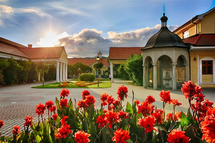 SPLENDID*** Ensana Health Spa Hotel - Piešťany