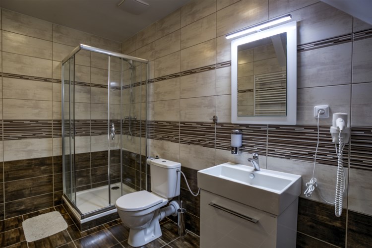 třílůžkový apartmán - koupelna | RELAX PENSION SCHÖNWALD - Budišov nad Budišovkou - Podlesí