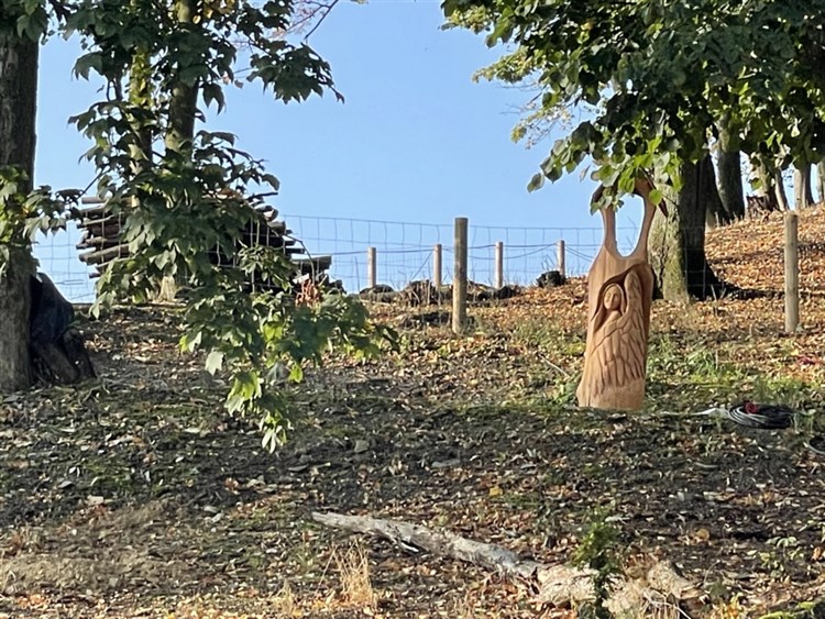 Pohled na areál mini ZOO | RELAX PENSION SCHÖNWALD - Budišov nad Budišovkou - Podlesí