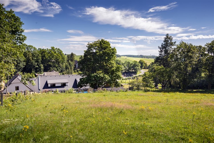 Pohled na zelenou louku | RELAX PENSION SCHÖNWALD - Budišov nad Budišovkou - Podlesí