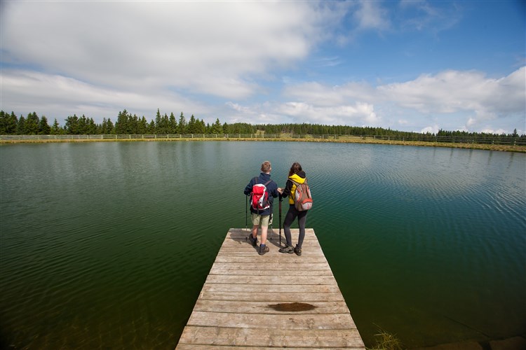 Rogla jezero | TERME ZREČE VILLAS**** - Terme Zreče