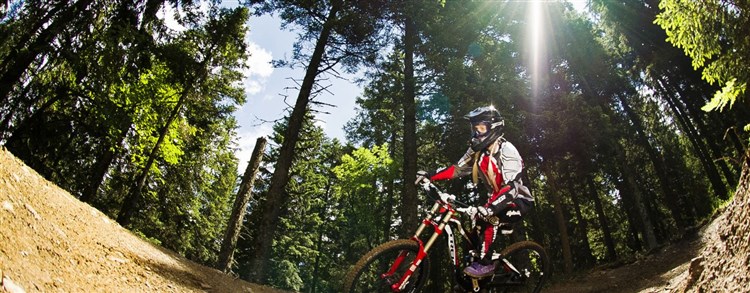 Bike park Rogla | TERME ZREČE VILLAS**** - Terme Zreče