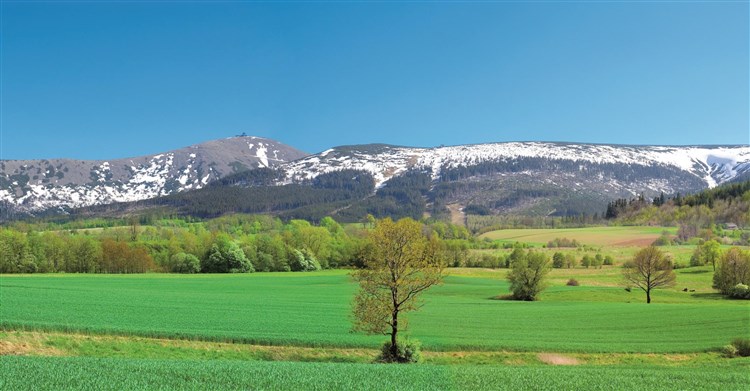 PAWILON EDWARD - Jelenia Góra