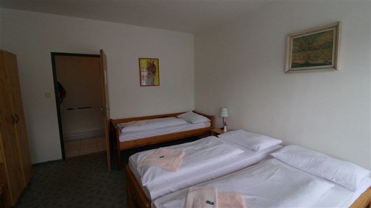 BORŮVKOVÝ VÍKEND - Horský hotel Neptun - Malá Morávka