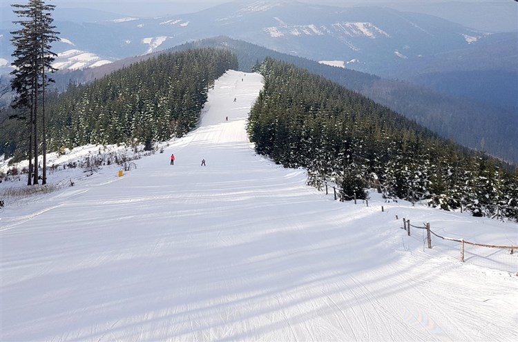 Ski areál KOUTY, zdroj CZECHTOURISM | Resort DLOUHÉ STRÁNĚ - Kouty nad Desnou