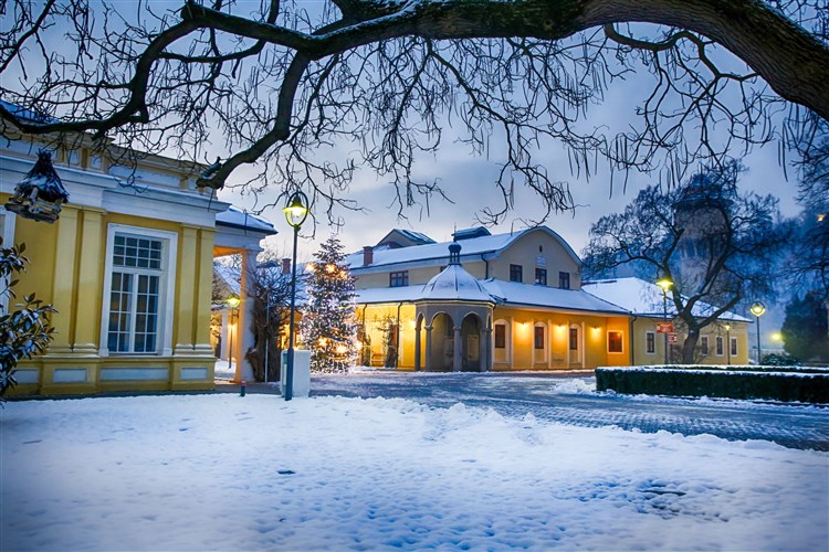 SPLENDID*** Ensana Health Spa Hotel - Piešťany