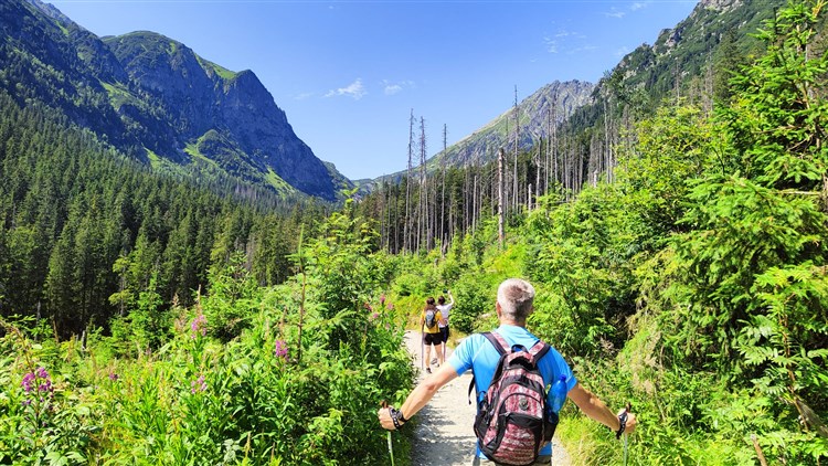 Cesta na Siklawský vodopád | NOSALOWY DWÓR - Zakopane