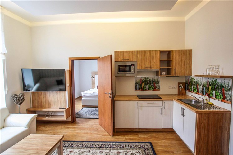 Pohled na kuchyňský koutek v pokoji. | BURČÁKFEST ZNOJMO 2025 - Hotel MARIEL