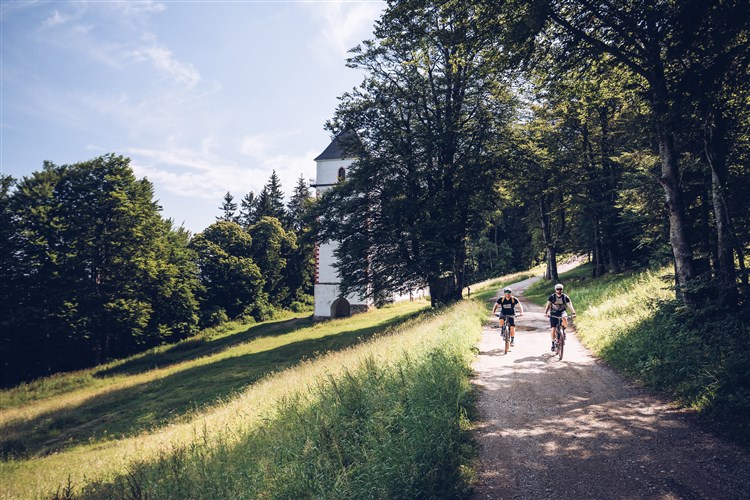 POHORJE VILLAGE - Pohorje