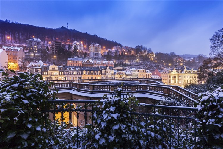Hotel RŮŽE - Karlovy Vary