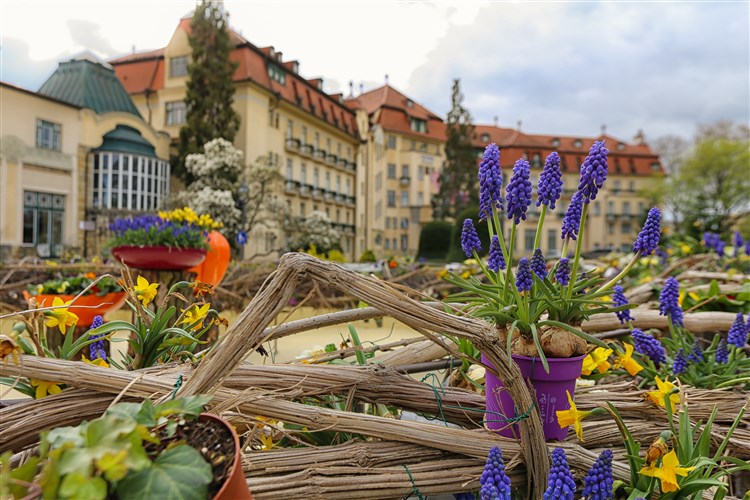 ESPLANADE & ALAMEDA Ensana Health Spa Hotel - Piešťany