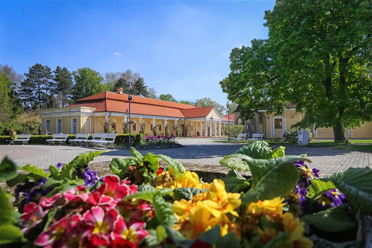 ESPLANADE & ALAMEDA Ensana Health Spa Hotel - Piešťany