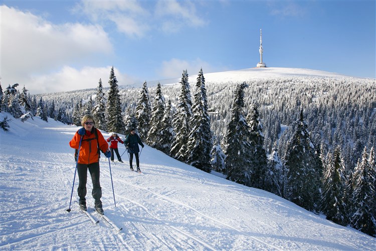 Praděd, zdroj MSTOURISM | BORŮVKOVÝ VÍKEND - Horský hotel Neptun - Malá Morávka