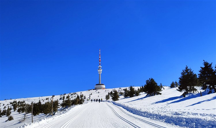 Praděd | BORŮVKOVÝ VÍKEND - Horský hotel Neptun - Malá Morávka