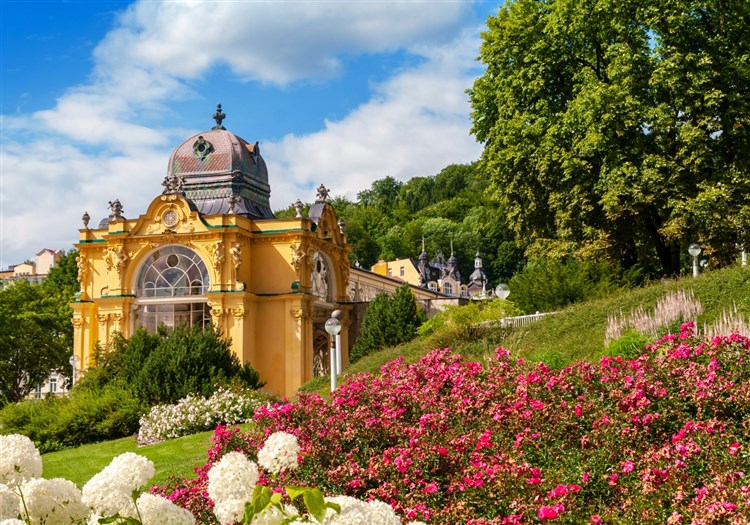 Spa & Wellness Hotel OLYMPIA - Mariánské Lázně