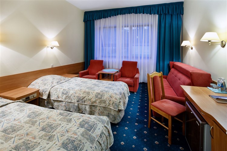 Pohled na pokoj se dvěmi lůžky a výhledem | WODNIK HOTEL & SPA - Leba