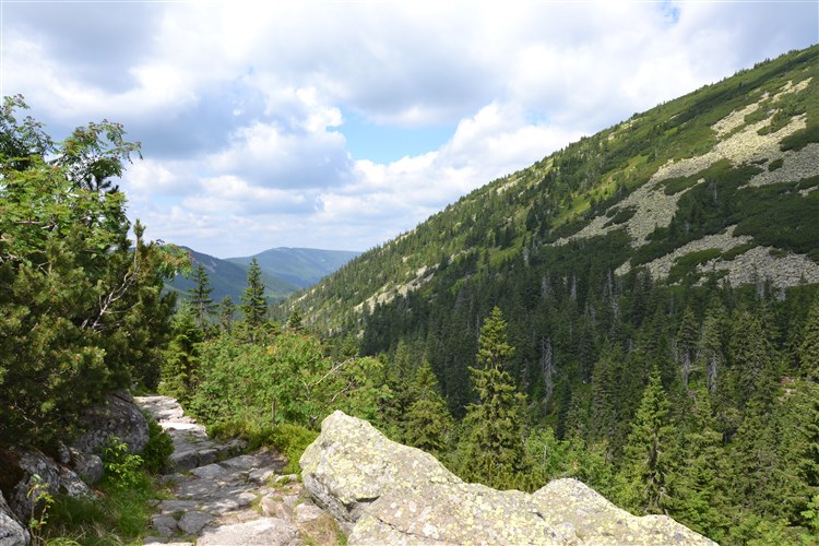 Krkonoše - stezka Bílé Labe  - zdroj foto: www.krkonose.eu | NICO - Špindlerův Mlýn