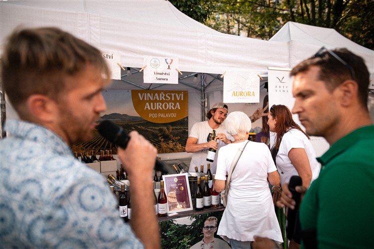 FESTIVAL VÍNA MARIÁNSKÉ LÁZNĚ 2025, SPA HOTEL DĚVÍN