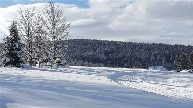 WIESHOF - Sankt Oswald-Riedlhütte