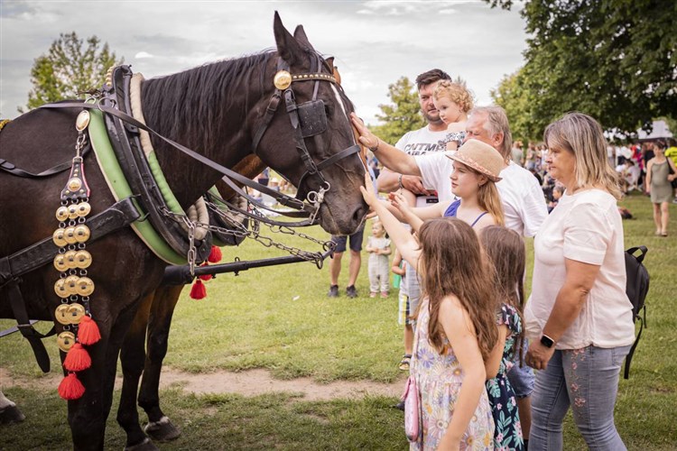 ČEJKOVICKÉ SLAVNOSTI VÍNA, hotel PANON - Hodonín