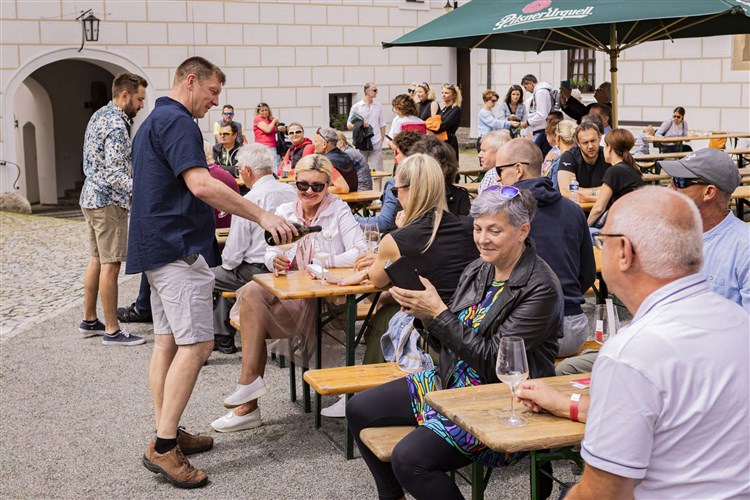 ČEJKOVICKÉ SLAVNOSTI VÍNA, hotel PANON - Hodonín