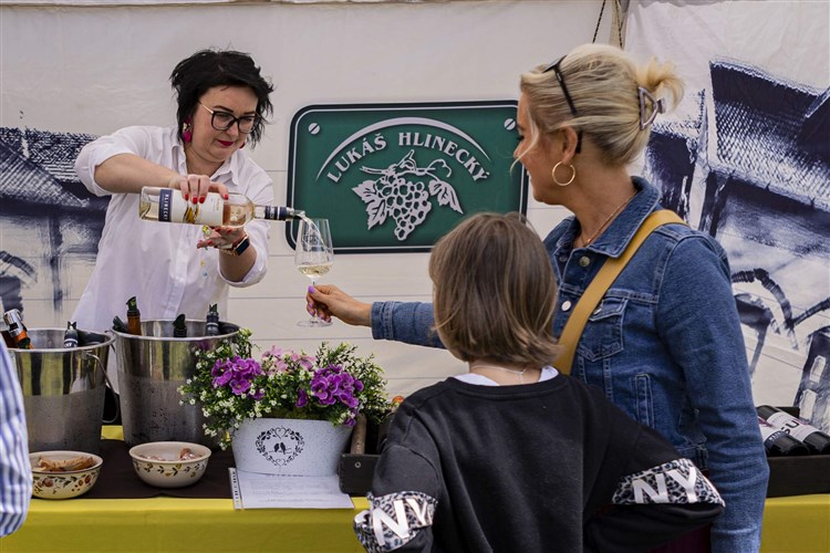 ČEJKOVICKÉ SLAVNOSTI VÍNA, hotel PANON - Hodonín