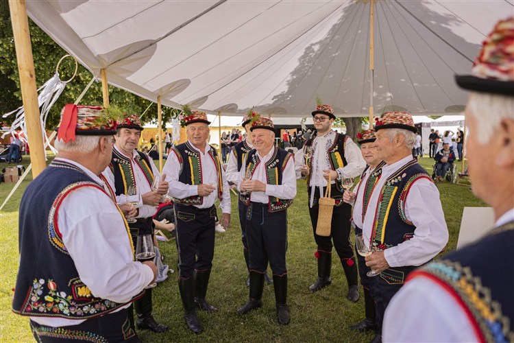 ČEJKOVICKÉ SLAVNOSTI VÍNA, hotel PANON - Hodonín