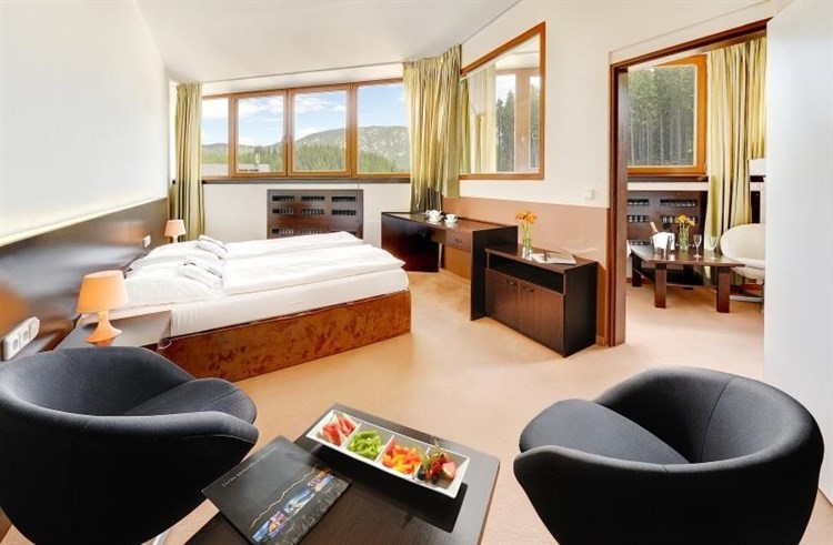 Apartmán Standard | HOTEL GRAND JASNÁ - Demänovská Dolina