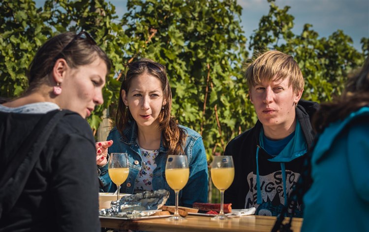 VÁCLAVSKÝ BURČÁKOVÝ POCHOD, Hotel PANON - Hodonín