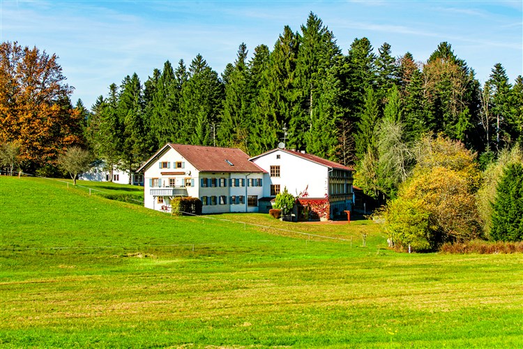 BERGER´S BERGSICHT BY EDITE - Scheidegg