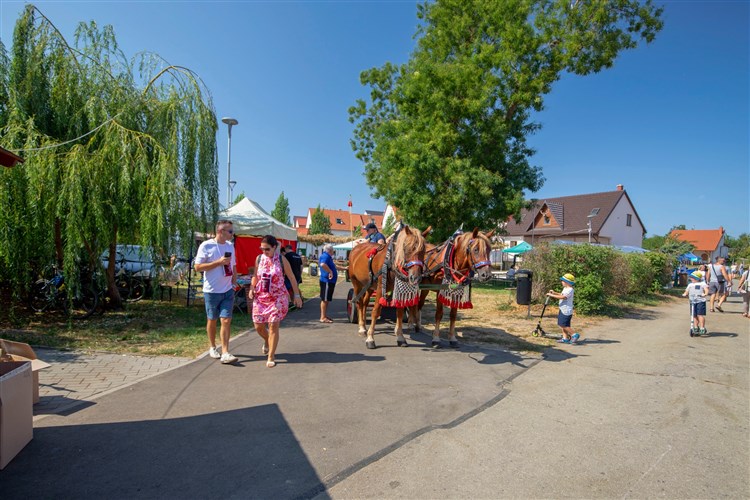 OTEVŘENÉ SKLEPY MIKULČICE, Hotel PANON - Hodonín