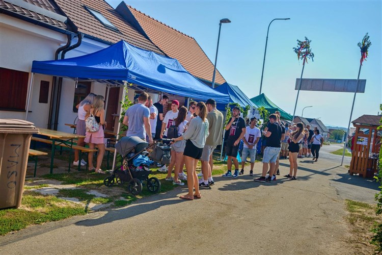 OTEVŘENÉ SKLEPY MIKULČICE, Hotel PANON - Hodonín