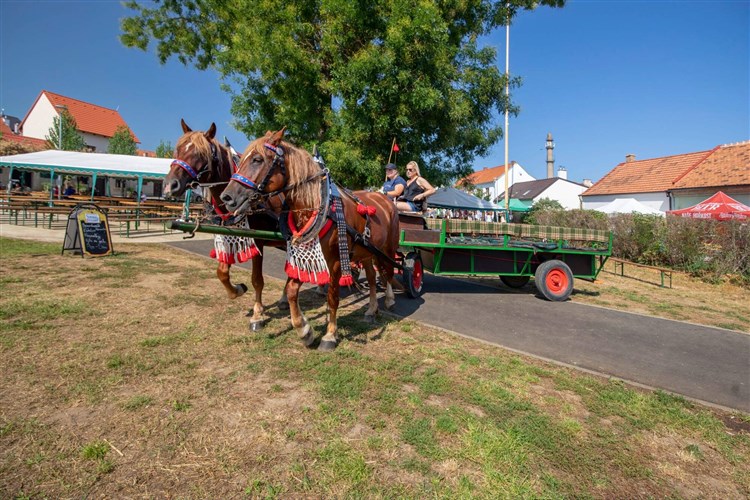 OTEVŘENÉ SKLEPY MIKULČICE, Hotel PANON - Hodonín