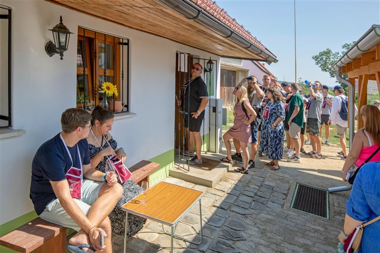 OTEVŘENÉ SKLEPY MIKULČICE, Hotel PANON - Hodonín