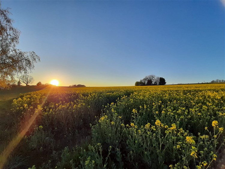 RATHAUSHOTELS - OBERWIESENTHAL
