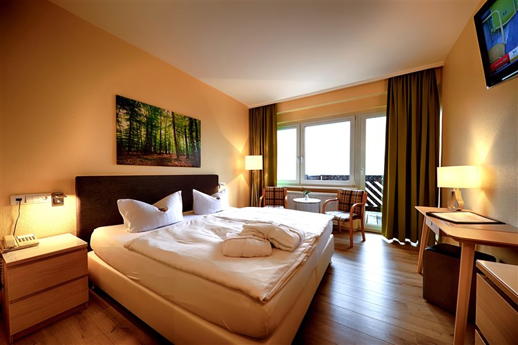 PANORAMA HOTEL OBERWIESENTHAL
