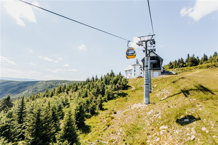 FOREST PARK RESORT & SPA - Świeradów-Zdrój
