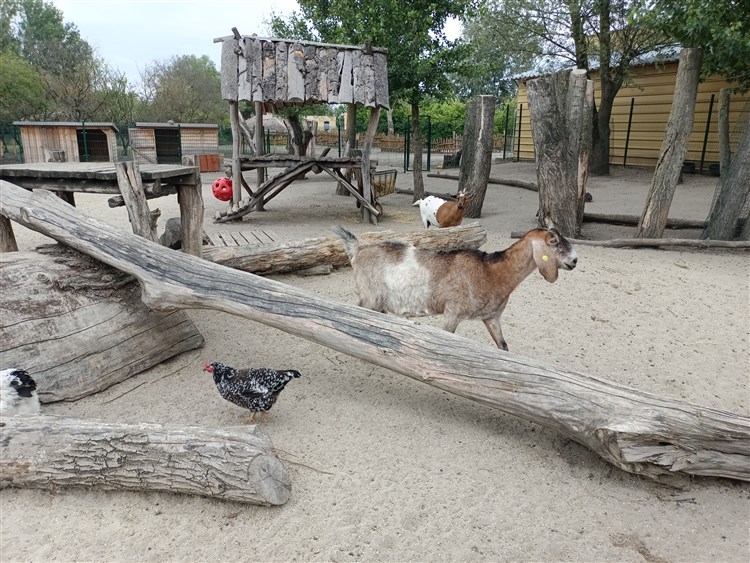 ZOO Malkia Park | THERMALPARK - Dunajská Streda