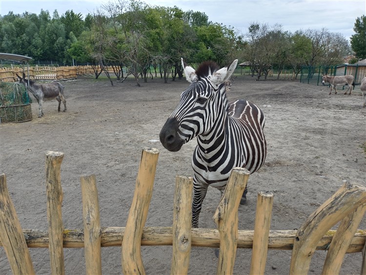 ZOO Malkia Park | THERMALPARK - Dunajská Streda