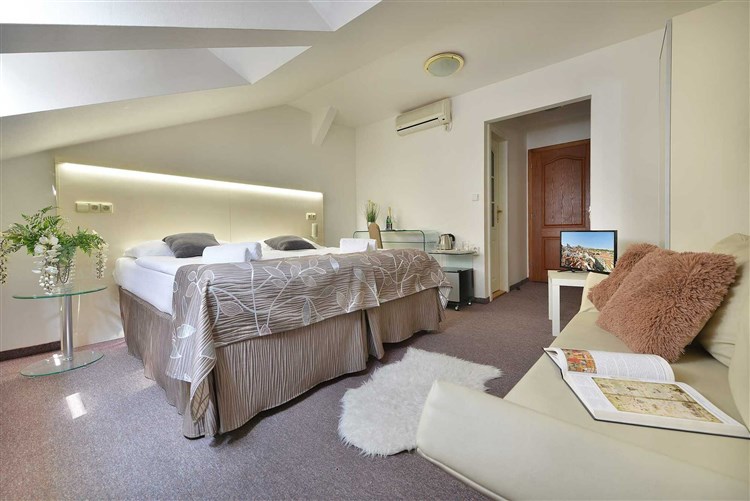 VÍKEND CO MÁ GRÁDY - V PRAZE, Hotel ANETTE, Praha 5 - Smíchov