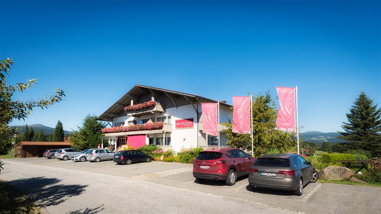 WIESHOF - Sankt Oswald-Riedlhütte