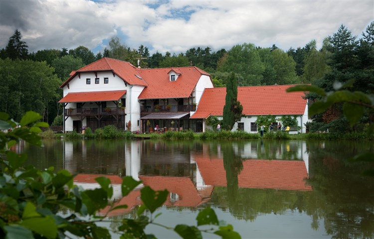 Pohled z vodní hladiny rybníka | BOROVANSKÝ MLÝN - Borovany