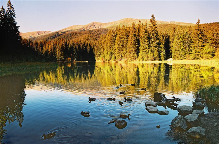 Nízké Tatry | HOTEL GRAND JASNÁ - Demänovská Dolina