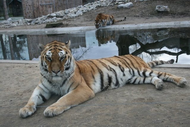 okolí hotelu: ZOO Hodonín | Hotel PANON - Hodonín