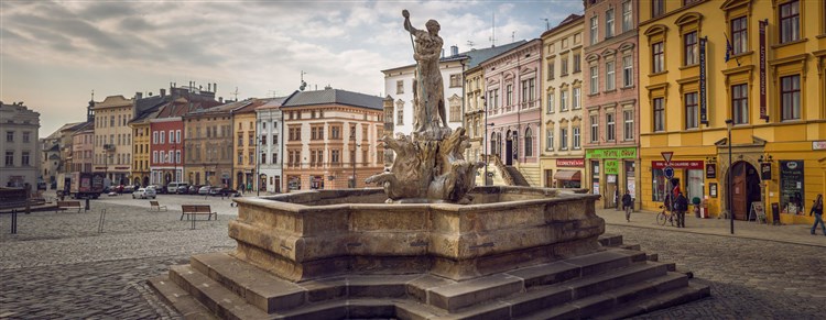 Olomouc | CENTRAL PARK FLORA - Olomouc