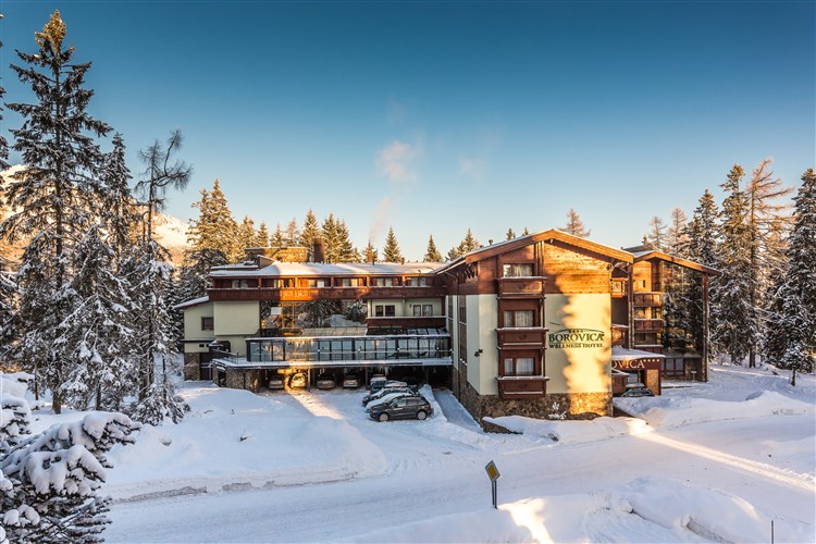 APLEND WELLNESS HOTEL BOROVICA**** - Štrbské Pleso